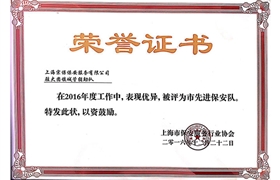 大團(tuán)鎮(zhèn)“市先進(jìn)保安隊(duì)”榮譽(yù)證書