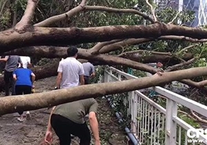 安防與臺(tái)風(fēng)應(yīng)急救援不得不說(shuō)的兩三事……