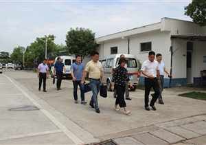 浦東新區(qū)退役軍人事務(wù)局 莊沈芳副局長來公司考察調(diào)研