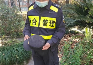 忍辱克制展風(fēng)采 文明規(guī)范獲贊揚(yáng)—閑林城管輔助項(xiàng)目隊(duì)員忍辱克制獲